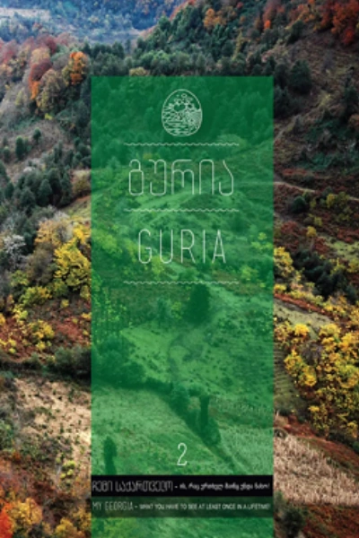 ჩემი საქართველო 2ტ - გურია