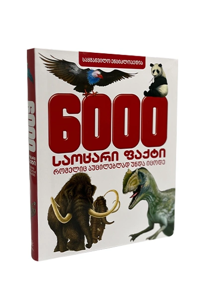 6000 საოცარი ფაქტი