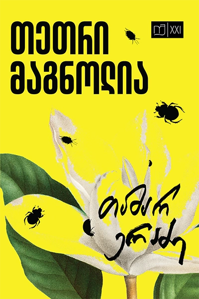 იკითხე ქართული XXI - თეთრი მაგნოლია