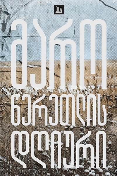 ნამდვილი ამბების თარო - მარო წერეთლის დღიური