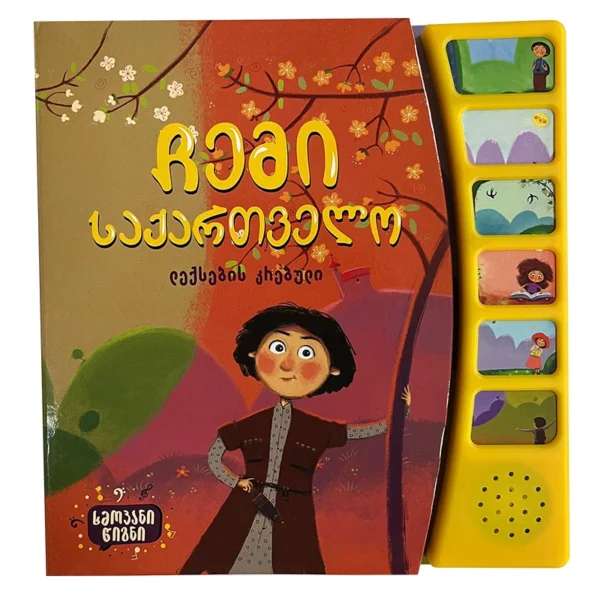 ხმოვანი წიგნი - ჩემი საქართველო